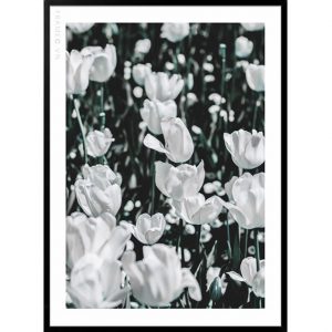 Tranh_treo_tuong_Frame_C_Botanicals_2